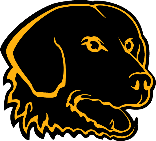 UMBC Retrievers 1997-2009 Alternate Logo diy DTF decal sticker